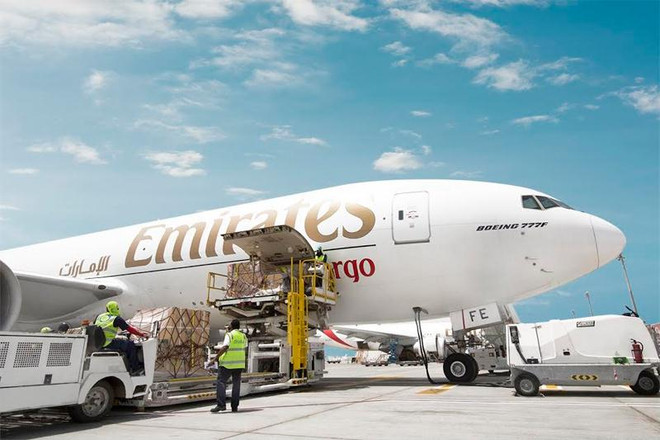 Aerolínea Emirates impulsa exportaciones de frutas vietnamitas a EAU ảnh 1