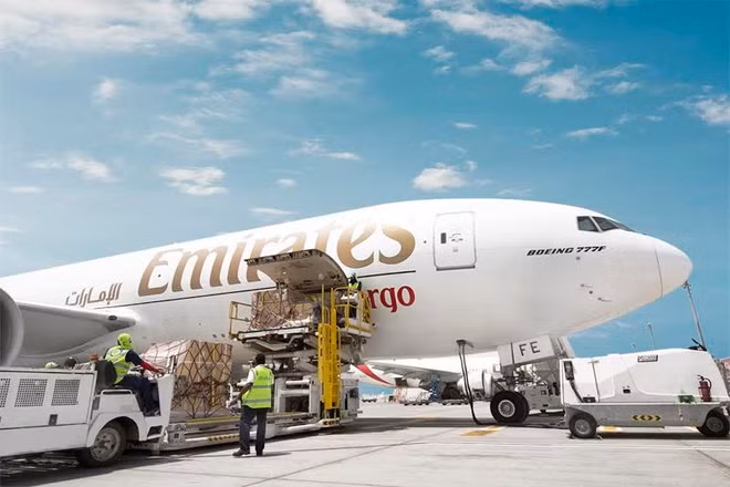 Aerolínea Emirates impulsa exportaciones de frutas vietnamitas a EAU ảnh 1