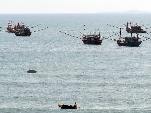 Provincia vietnamita impulsa actividades en respuesta a desastres marítimos ảnh 1