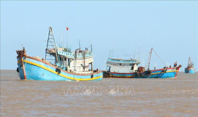 Localidades de Vietnam empeñadas en combatir la pesca ilegal ảnh 1 Localidades de Vietnam empeñadas en combatir la pesca ilegal ảnh 1