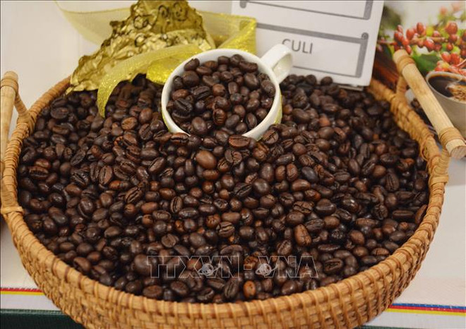 Aumentan exportaciones del café de Vietnam en enero ảnh 1 Aumentan exportaciones del café de Vietnam en enero ảnh 1