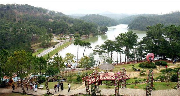 Registran un crecimiento en llegadas de turistas a Da Lat durante las vacaciones del Tet ảnh 1 Registran un crecimiento en llegadas de turistas a Da Lat durante las vacaciones del Tet ảnh 1