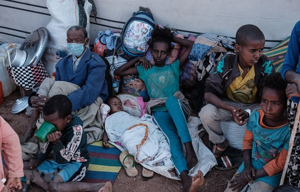 Vietnam reafirma apoyo a la paz, estabilidad y desarrollo de Etiopía ảnh 1