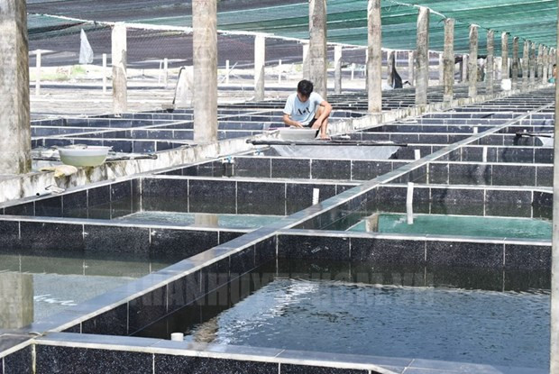Ciudad Ho Chi Minh promueve uso de alta tecnología en cooperativas agrícolas ảnh 1 Ciudad Ho Chi Minh promueve uso de alta tecnología en cooperativas agrícolas ảnh 1