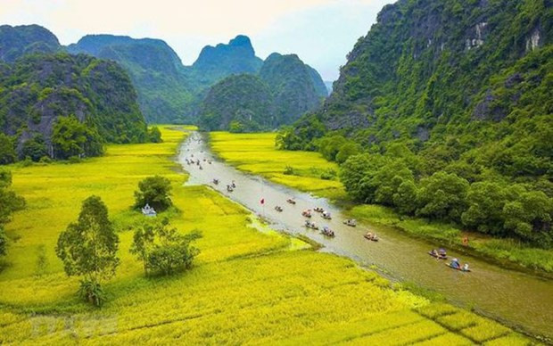Vietnam necesita nuevos mecanismos para promover el desarrollo cultural ảnh 1 Vietnam necesita nuevos mecanismos para promover el desarrollo cultural ảnh 1