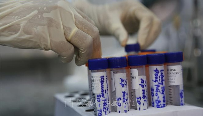 Reporta Vietnam 81 nuevos casos de COVID-19 ảnh 1