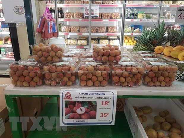 Lichi vietnamita recibe alta valoración de consumidores franceses ảnh 1 Lichi vietnamita recibe alta valoración de consumidores franceses ảnh 1