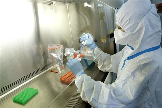 Confirma Vietnam otros dos casos mortales del COVID-19 ảnh 1 Confirma Vietnam otros dos casos mortales del COVID-19 ảnh 1