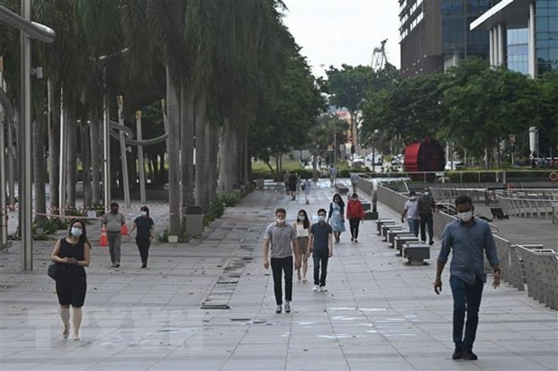 Singapur y Australia se empeñan en establecer burbuja para viajes aéreos ảnh 1 Singapur y Australia se empeñan en establecer burbuja para viajes aéreos ảnh 1