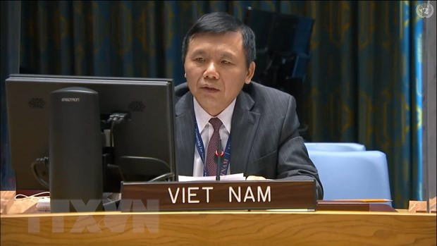 Vietnam llama a fortalecer la reconciliación nacional en Malí ảnh 1