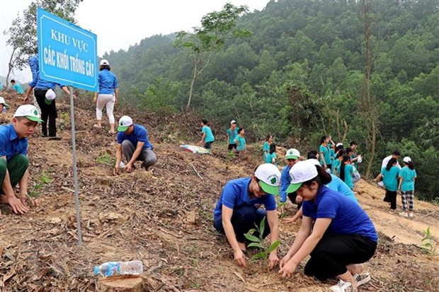 Provincia vietnamita de Ben Tre plantará 10 millones de árboles ảnh 1 Provincia vietnamita de Ben Tre plantará 10 millones de árboles ảnh 1