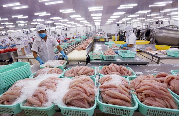 Industria de procesamiento impulsa exportaciones agrosilvícolas y acuícolas de Vietnam ảnh 1