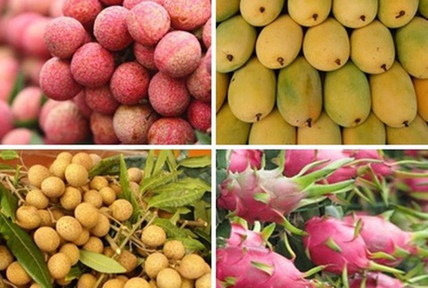 Productos vietnamitas consolidan posición en mercado de Australia ảnh 1 Productos vietnamitas consolidan posición en mercado de Australia ảnh 1