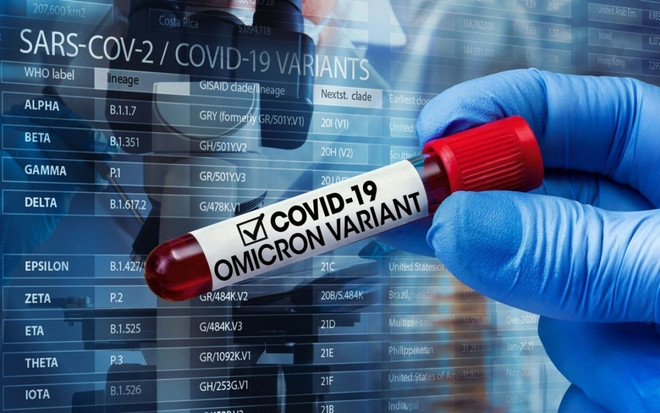 Registran aumento de casos de variante Omicron de COVID-19 en Vietnam ảnh 2 Registran aumento de casos de variante Omicron de COVID-19 en Vietnam ảnh 2