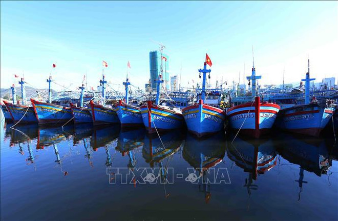 Localidad vietnamita lanza plan para lucha integral contra IUU ảnh 1 Localidad vietnamita lanza plan para lucha integral contra IUU ảnh 1