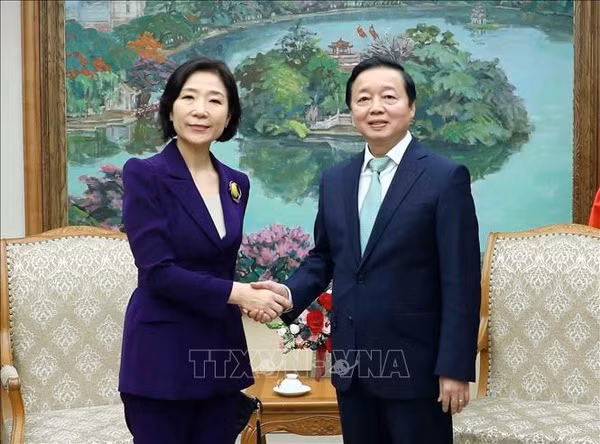 Corea del Sur desea ampliar cooperación con Vietnam en más esferas ảnh 1