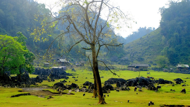 Hang tau: pueblo primitivo en la provincia vietnamita de Son La ảnh 1 Hang tau: pueblo primitivo en la provincia vietnamita de Son La ảnh 1