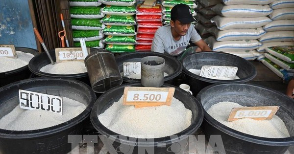 Indonesia explica su demanda de importación arrocera ảnh 1 Indonesia explica su demanda de importación arrocera ảnh 1