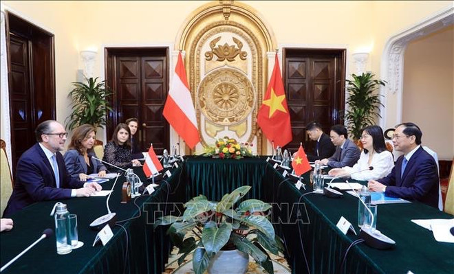 Vietnam y Austria fortalecen nexos de cooperación ảnh 2 Vietnam y Austria fortalecen nexos de cooperación ảnh 2