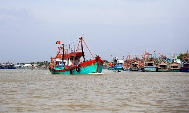 Vietnam trabaja por promover consumo de bienes agrícolas y lucha contra pesca ilegal ảnh 1 Vietnam trabaja por promover consumo de bienes agrícolas y lucha contra pesca ilegal ảnh 1