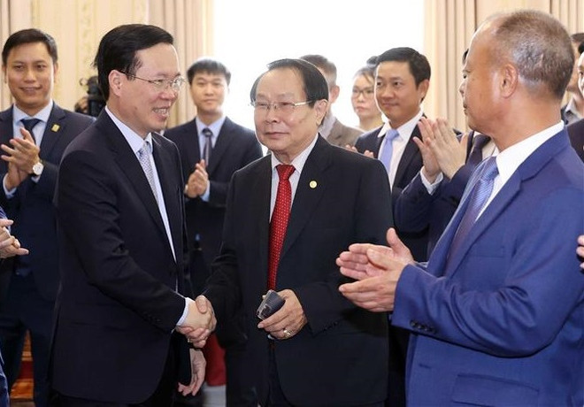 Presidente de Vietnam visita comunidad vietnamita en Laos ảnh 1 Presidente de Vietnam visita comunidad vietnamita en Laos ảnh 1