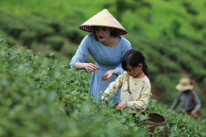Vietnam por promover turismo agrícola y rural ảnh 1 Vietnam por promover turismo agrícola y rural ảnh 1