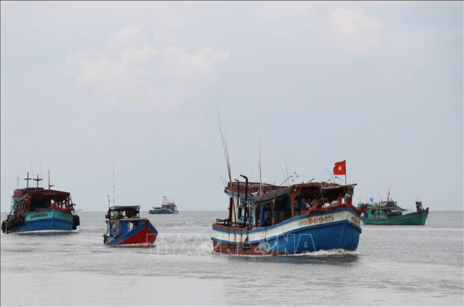 Provincia centrovietnamita promueve lucha contra pesca ilegal ảnh 1