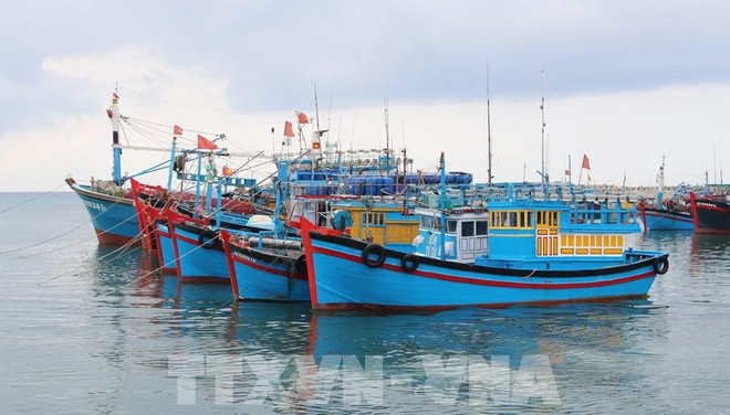 Vietnam aplica severas sanciones para combatir IUU ảnh 1