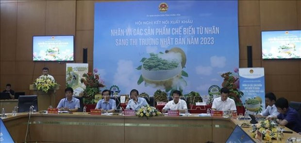 Provincia de Vietnam promueve exportación de longan a Japón ảnh 2 Provincia de Vietnam promueve exportación de longan a Japón ảnh 2