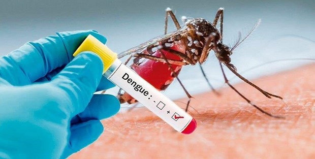 Laos reporta aumento en número de casos de dengue ảnh 1 Laos reporta aumento en número de casos de dengue ảnh 1