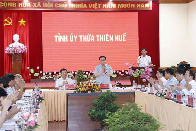 Instan a provincia vietnamita de Thua Thien- Hue a preservar valores patrimoniales ảnh 1