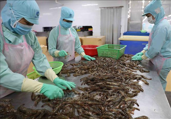 Prevén recuperación de exportaciones de productos acuáticos de Vietnam ảnh 2 Prevén recuperación de exportaciones de productos acuáticos de Vietnam ảnh 2