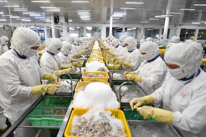 Recomiendan a empresas vietnamitas elegir estrategias adecuadas ante recesión económica ảnh 2 Recomiendan a empresas vietnamitas elegir estrategias adecuadas ante recesión económica ảnh 2