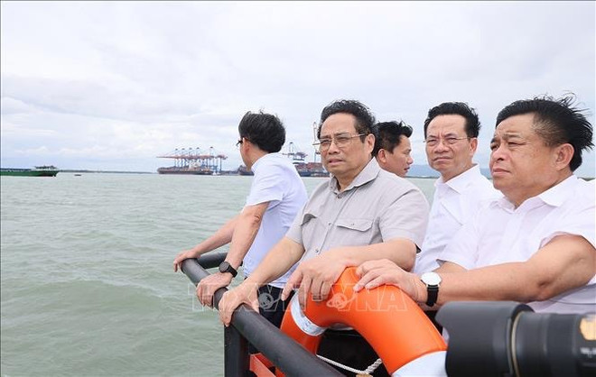 Premier vietnamita pide construir Can Gio como ciudad en el bosque ảnh 2 Premier vietnamita pide construir Can Gio como ciudad en el bosque ảnh 2