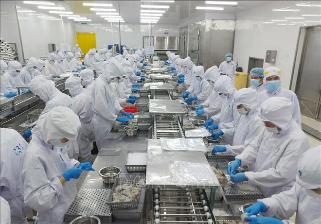 A Vietnam le sobra espacio para recuperación económica, según expertos ảnh 2 A Vietnam le sobra espacio para recuperación económica, según expertos ảnh 2