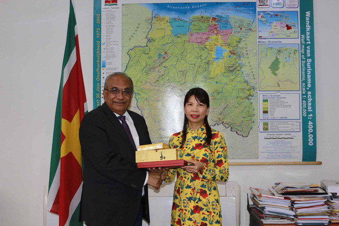 Ministros surinameses aprecian desarrollo sobresaliente de Vietnam ảnh 2 Ministros surinameses aprecian desarrollo sobresaliente de Vietnam ảnh 2