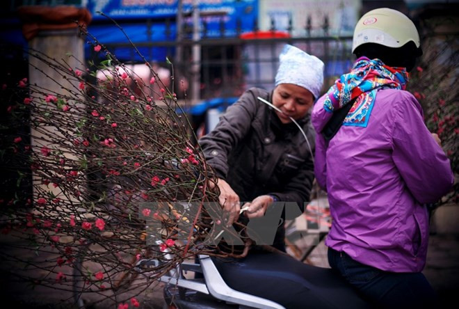 El Calendario Lunar guía la vida vietnamita ảnh 1