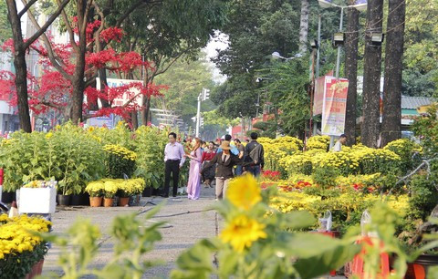 Celebran festival de flores en Ciudad Ho Chi Minh ảnh 1 Celebran festival de flores en Ciudad Ho Chi Minh ảnh 1