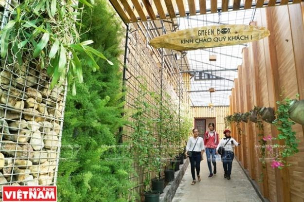 Green Box, nuevo modelo de agroturismo en Da Lat ảnh 1 Green Box, nuevo modelo de agroturismo en Da Lat ảnh 1