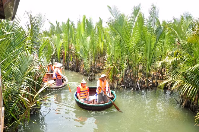 Cam Thanh, territorio de las palmas de agua ảnh 1