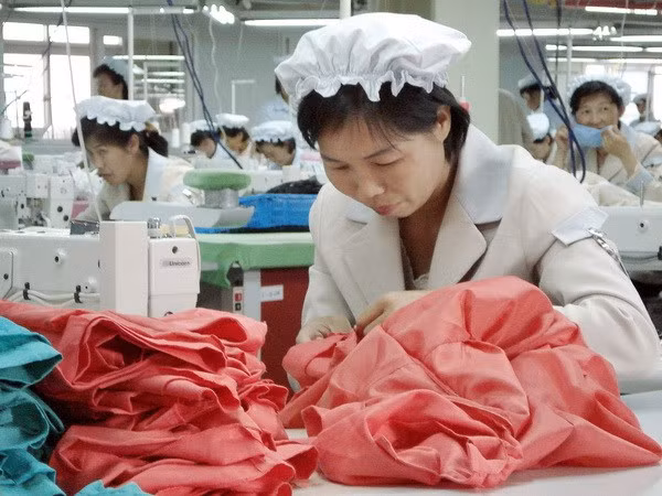 Empresa de confecciones textiles vietnamitas prevé gran incremento para 2020 ảnh 1