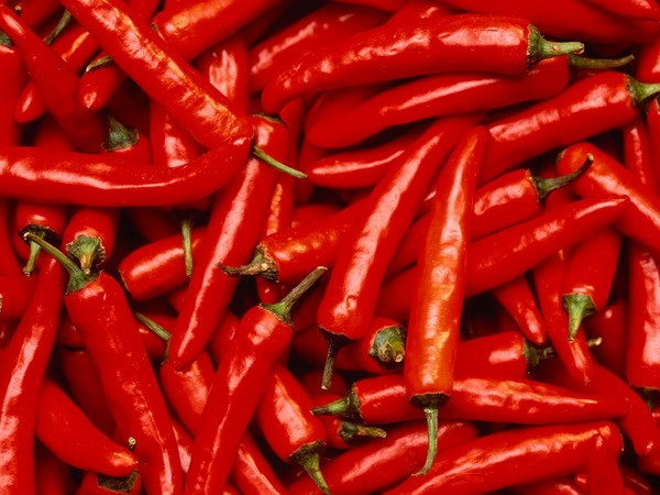 Grupo sudcoreano invierte en plantaciones de chile en VN ảnh 1