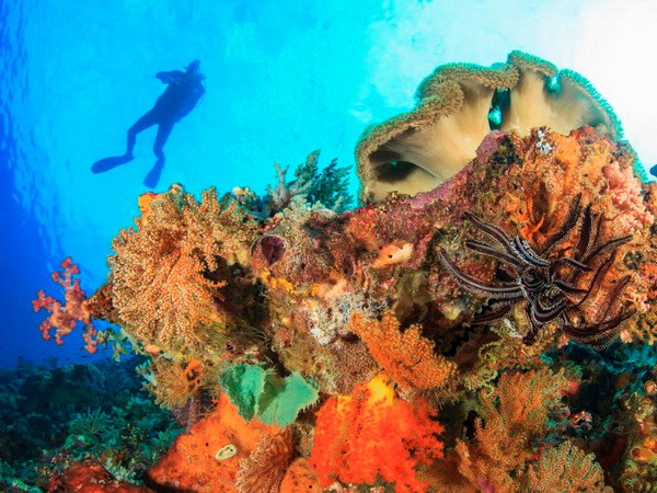 Ciudad Ho Chi Minh acogerá foro del delta del río Mekong sobre cambio climático ảnh 1