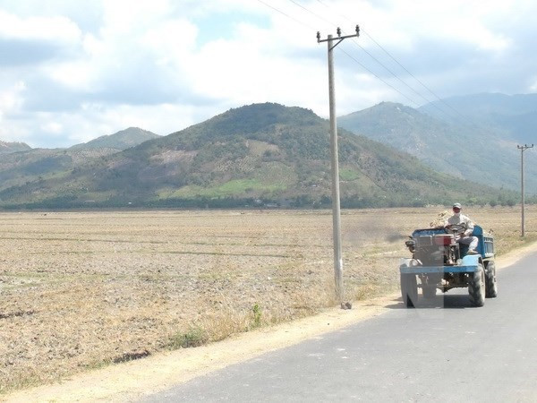 BM apoya a Vietnam en adaptación a cambio climático y crecimiento verde ảnh 1 BM apoya a Vietnam en adaptación a cambio climático y crecimiento verde ảnh 1