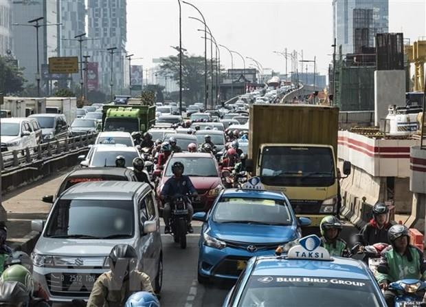 Propone presidente de Indonesia traslado de la capital a isla de Borneo ảnh 1