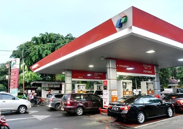 Aplica la UE aranceles antisubvenciones al biodiésel indonesio ảnh 1