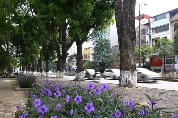 Desarrollan en Vietnam seminario sobre crecimiento verde de Hanoi ảnh 1 Desarrollan en Vietnam seminario sobre crecimiento verde de Hanoi ảnh 1