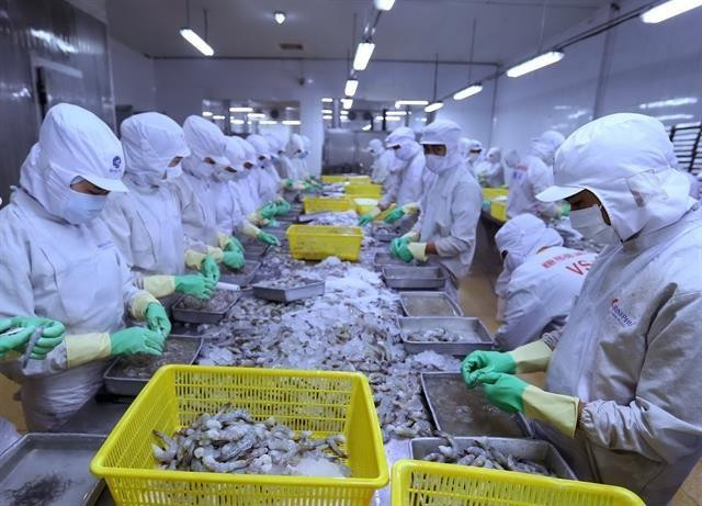 Prevén aumento en exportaciones del camarón vietnamita en segundo semestre del año ảnh 1 Prevén aumento en exportaciones del camarón vietnamita en segundo semestre del año ảnh 1