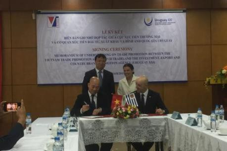 Impulsarán Vietnam y Uruguay la cooperación comercial ảnh 1