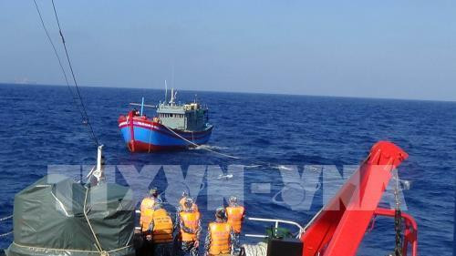 Archipiélagos de Hoang Sa y Truong Sa: parte inseparable del territorio vietnamita ảnh 1